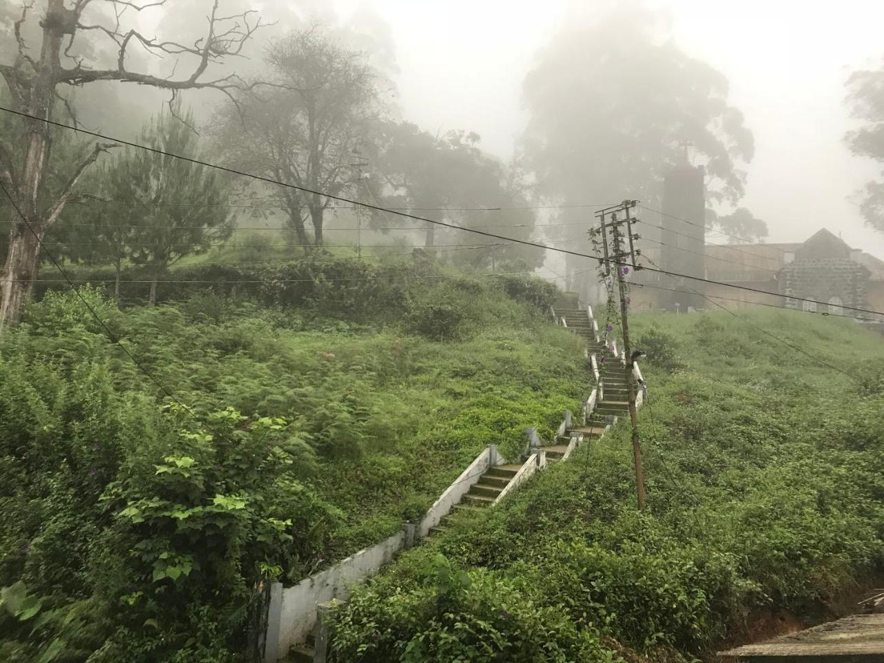 Bellmount Resorts Munnar Exterior foto